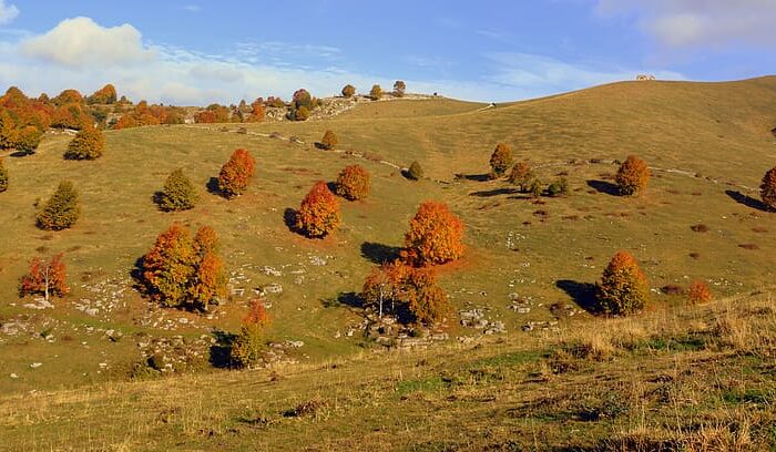 Bandi Regionali – Finanziamenti per interventi di demolizione e ripristino del suolo naturale o seminaturale – Scadenza 31/07/2020 ore 23:59